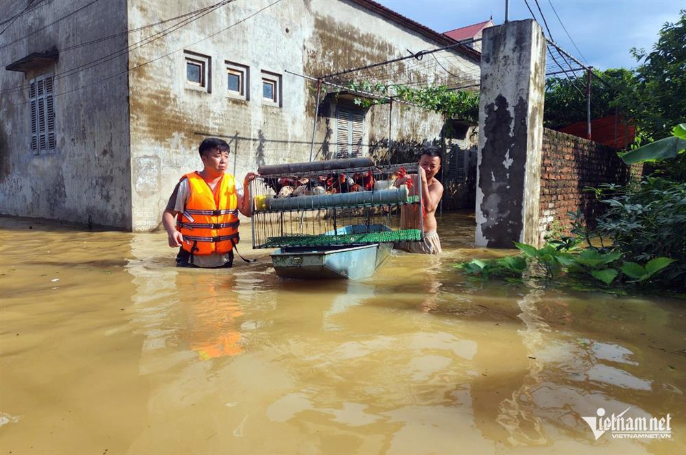 Dự báo thời tiết 30/7/2024: Mưa lớn trút nước xuống Bắc Bộ